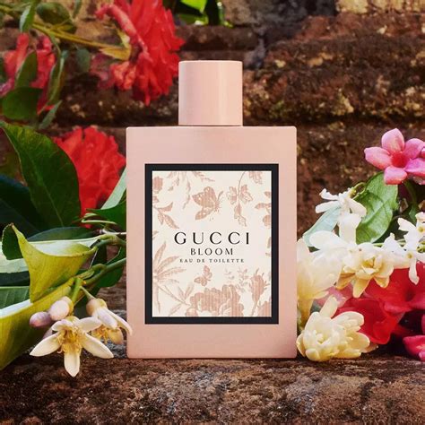 gucci bloom fragrantica club site www.fragrantica.com|gucci bloom fragrance description.